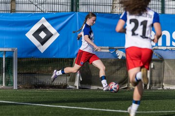 Bild 214 - wBJ Hamburger SV - Hertha BSC : Ergebnis: 2:1